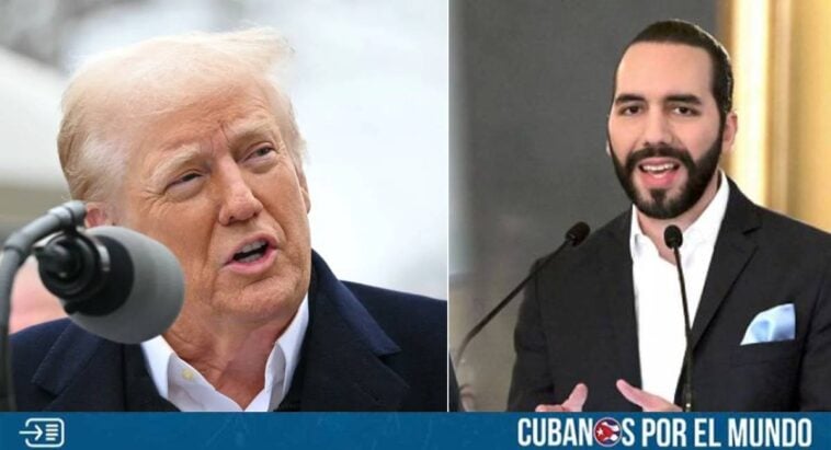 El presidente de Estados Unidos, Donald Trump, agradeció a su homólogo Nayib Bukele, por recibir a los miembros de la banda criminal de origen venezolano, el Tren de Aragua, los cuales fueron deportados y trasladados el domingo al Centro de Confinamiento del Terrorismo (CECOT) en El Salvador.