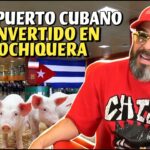 La miseria en Cuba parece no tener límites, y recientemente se conoció que la dictadura castrista impulsará la cría de cerdos en el Aeropuerto de Varadero.