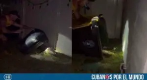 Marine de Florida captura a caimán con un contenedor de basura
