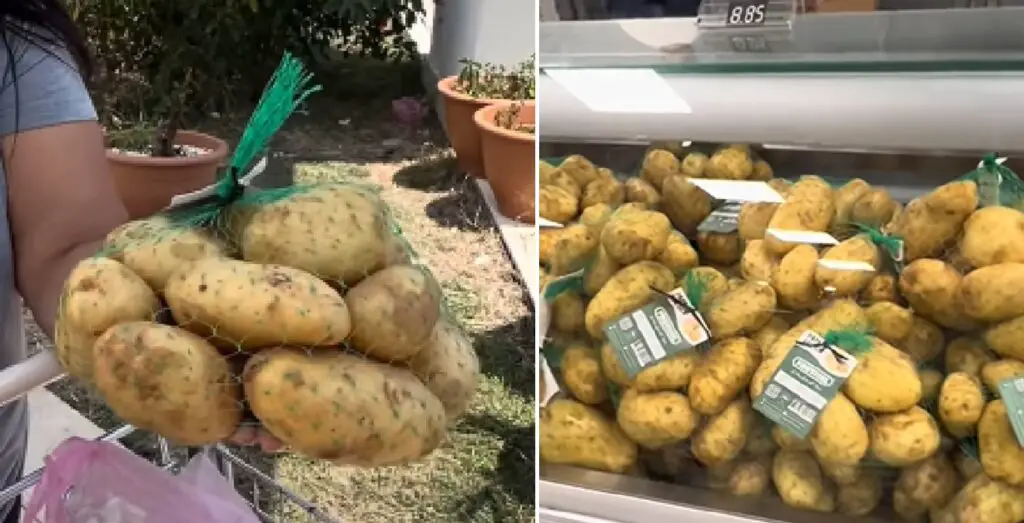 ¡El colmo! Régimen cubano vende papas nacionales en dólares en supermercado de La Habana