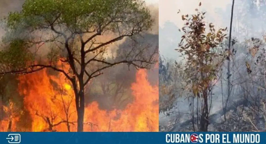 Las autoridades castristas informaron que, se mantienen “combatiendo” al menos tres incendios forestales en la provincia de Pinar del Río, los cuales ya han afectado al menos 1 mil 200 hectáreas de bosques.