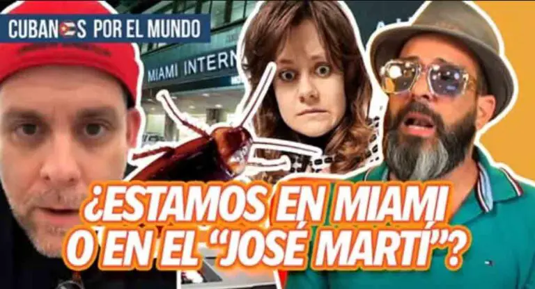 INSÓLITO: Denuncian presencia de cucarachas en el Aeropuerto Internacional de Miami (+VIDEO)