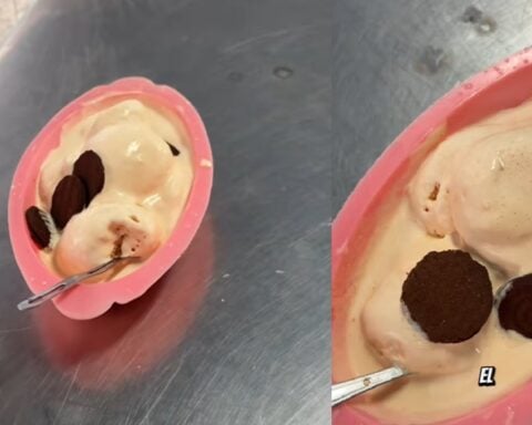 Cubana muestra el helado derretido que le vendieron a su familia en el Coppelia de La Habana