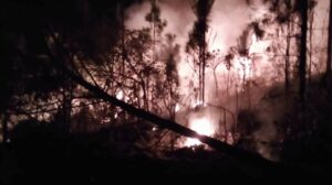 Incendio forestal consume 200 hectáreas en Minas de Matahambre y amenaza con expandirse