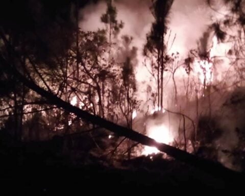 Incendio forestal consume 200 hectáreas en Minas de Matahambre y amenaza con expandirse