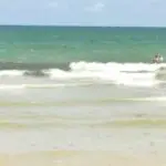 Mujer fue atacada por un animal marino en Florida