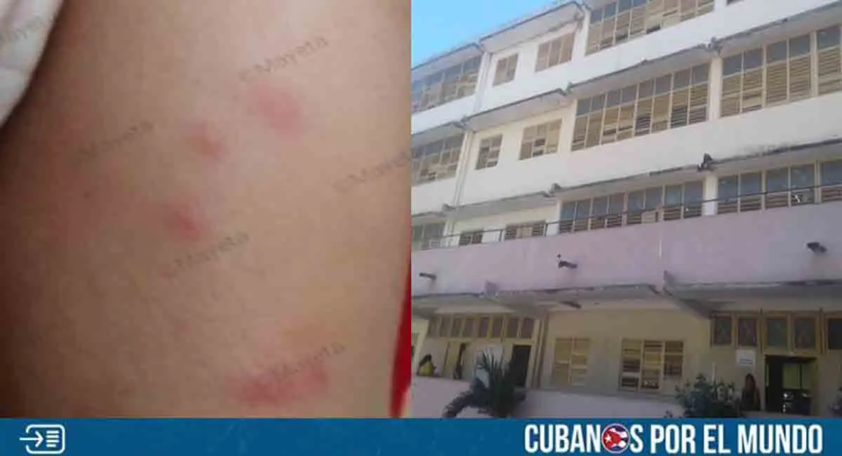Plaga de chinches en escuelas de Santiago de Cuba pone en peligro a los alumnos