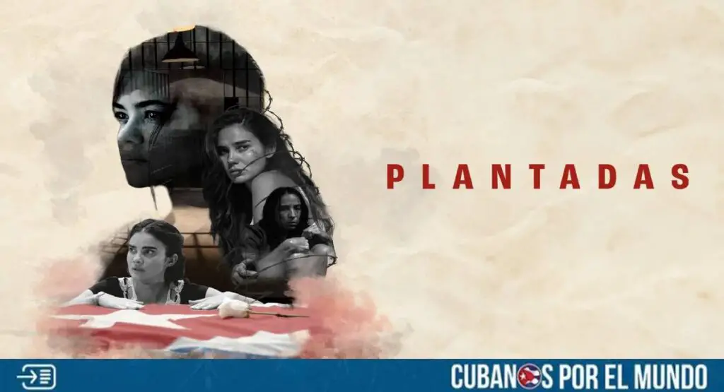La película Plantadas, que fue dirigida por Lilo Vilaplana, recibió el premio a Mejor Dirección en el South Beach Film Festival.