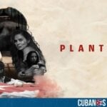 La película Plantadas, que fue dirigida por Lilo Vilaplana, recibió el premio a Mejor Dirección en el South Beach Film Festival.