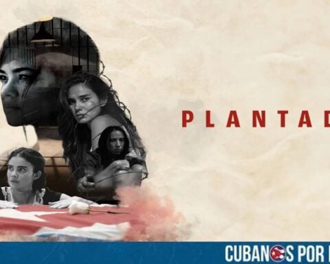 La película Plantadas, que fue dirigida por Lilo Vilaplana, recibió el premio a Mejor Dirección en el South Beach Film Festival.