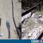 Santiago de Cuba: Arrestado sujeto por sabotear las vías del tren