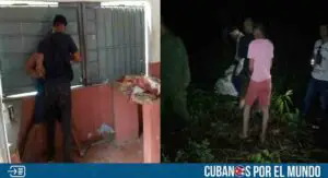 Detenidos seis presuntos matarifes en La Habana