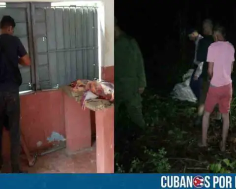 Detenidos seis presuntos matarifes en La Habana