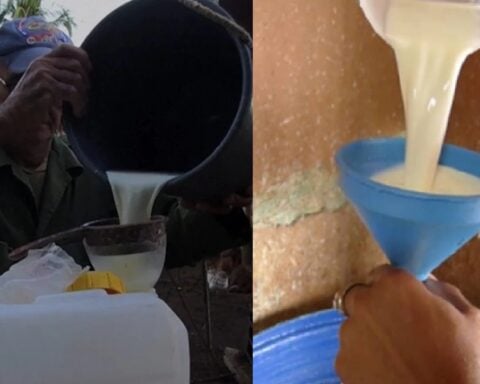 Escasez en Cuba mantiene a más de cinco mil niños sin leche en Matanzas