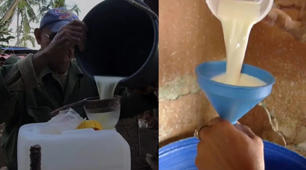 Escasez en Cuba mantiene a más de cinco mil niños sin leche en Matanzas