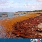 El Ministerio de Ciencia, Tecnología y Medio Ambiente (CITMA) de Cuba emitió una alerta máxima ante la llegada masiva de sargazo a las costas de la provincia oriental de Guantánamo.