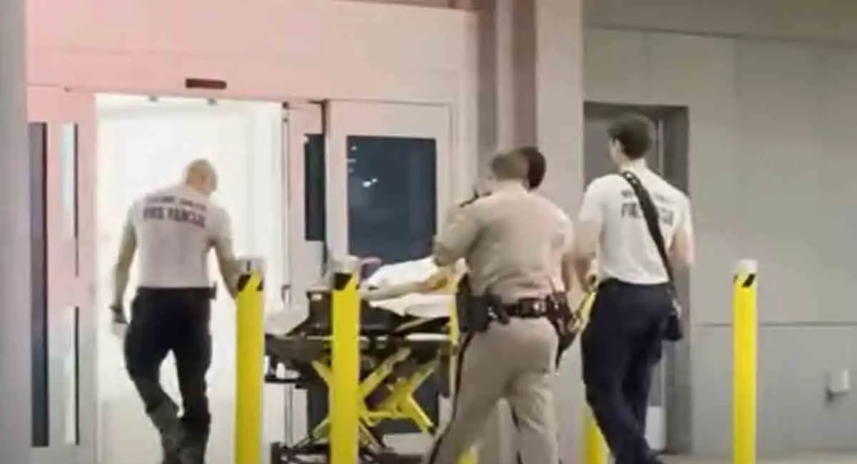 Tiroteo en autopista Palmetto de Miami deja a una menor de edad herida