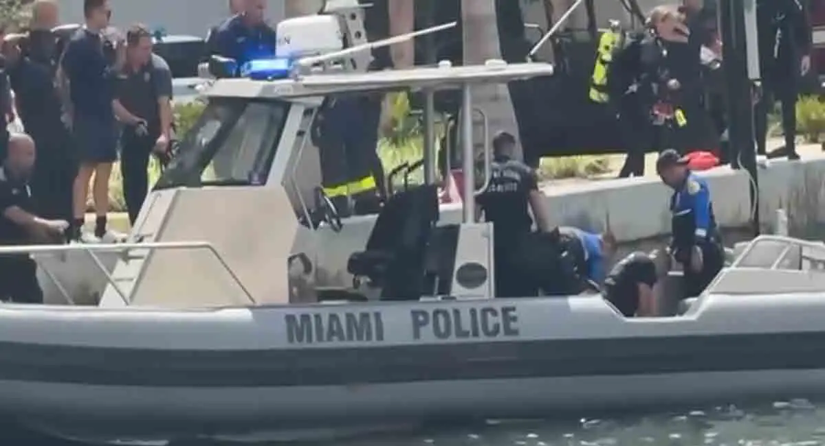 Violencia en Miami: Empujó a una mujer al río y fue detenido por la policía