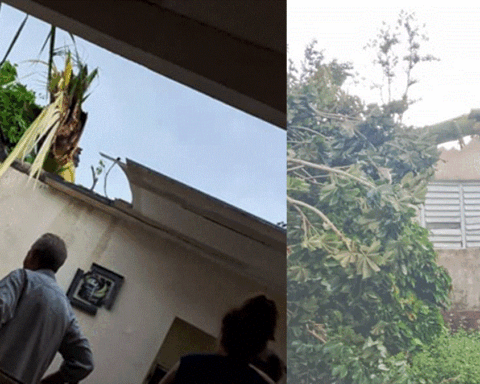 Pinar del Río: Mujer resulta herida tras caerle una palma durante una tormenta severa
