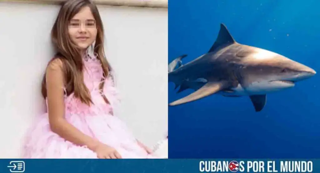 Niña de 9 años fue atacada por un tiburón en Florida