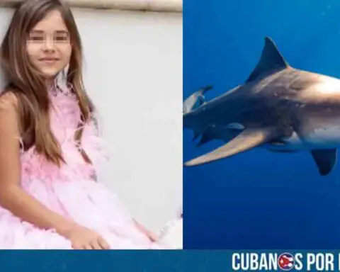 Niña de 9 años fue atacada por un tiburón en Florida