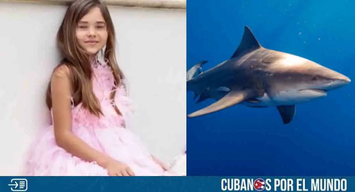 Niña de 9 años fue atacada por un tiburón en Florida