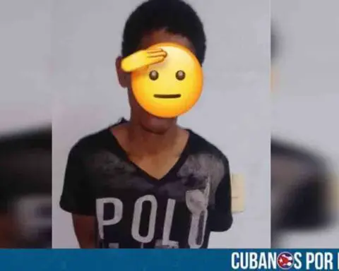 Detenido en La Habana el presunto autor de un robo con violencia