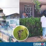 El régimen castrista confirmó un brote de Chikungunya en el Consejo Popular España Republicana, ubicado en el municipio de Perico, en la provincia de Matanzas.