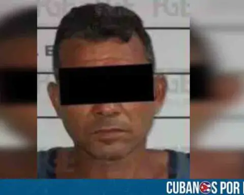 A la cárcel un cubano en Cancún por graves delitos contra su pareja y dos perros