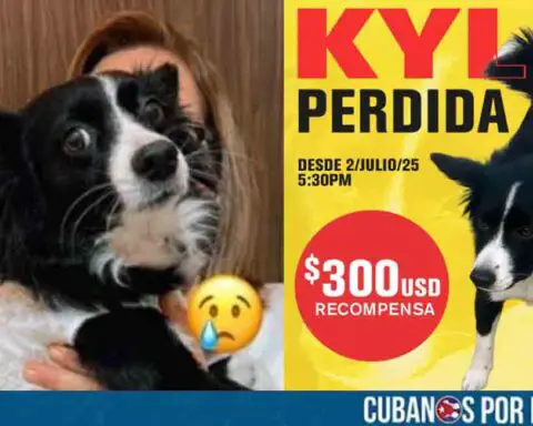 Familia de La Habana ofrece recompensa por su perrita perdida