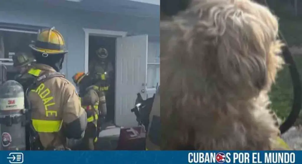 Oficial de Florida fue hospitalizado tras lograr rescatar a un perro de un incendio