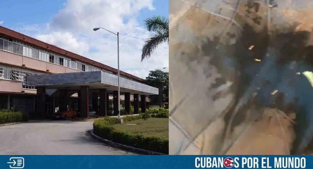 ¿Potencia médica? Pacientes recién operados en hospital de Holguín están rodeados de gusanos