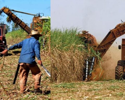 Granma: Zafra azucarera cierra con solo 27% de la producción prevista