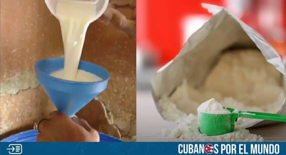 La escasez de leche en la provincia de Santiago de Cuba se mantiene en niveles críticos, dejando a miles de niños de entre 2 y 6 años sin acceso a este alimento fundamental para su desarrollo.