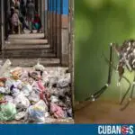El chikungunya pone en jaque a la comunidad de Perico, Matanzas