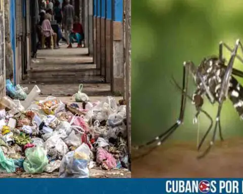 El chikungunya pone en jaque a la comunidad de Perico, Matanzas