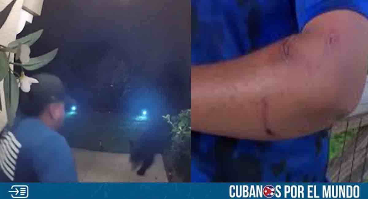 Hombre en Florida fue atacado por un oso en su propio jardín