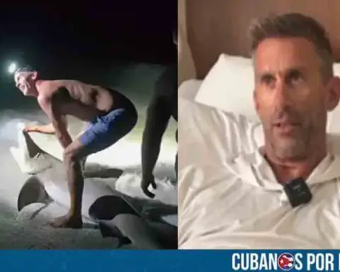 Florida: Hombre fue mordido por un tiburón tras posar para una foto con el animal