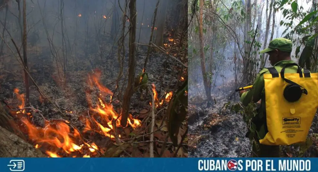 Un voraz incendio forestal ha consumido más de 80 hectáreas de bosques en la zona montañosa de Ojo de Agua, en el municipio de Niceto Pérez, provincia de Guantánamo, según informaron fuentes oficiales.