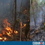 Un voraz incendio forestal ha consumido más de 80 hectáreas de bosques en la zona montañosa de Ojo de Agua, en el municipio de Niceto Pérez, provincia de Guantánamo, según informaron fuentes oficiales.