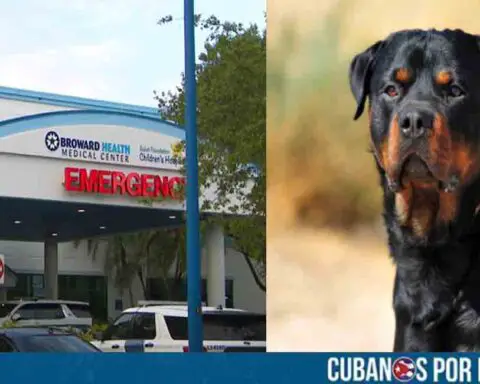 Niña de dos años hospitalizada tras ataque de rottweiler en Florida