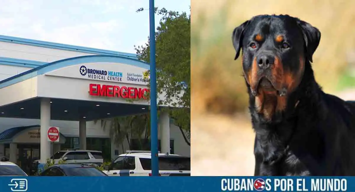 Niña de dos años hospitalizada tras ataque de rottweiler en Florida