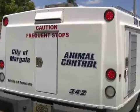 Niño de 7 años fue atacado por dos perros de raza pitbull en Florida