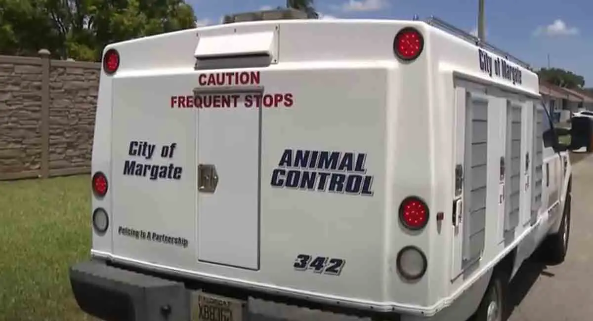 Niño de 7 años fue atacado por dos perros de raza pitbull en Florida