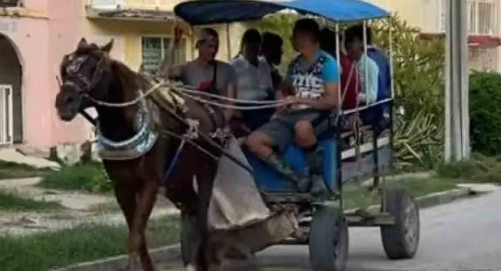 Delincuentes roban un coche y caballo a dos jóvenes en Santiago de Cuba