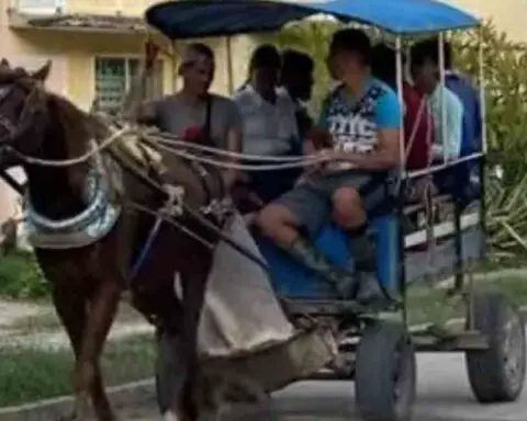 Delincuentes roban un coche y caballo a dos jóvenes en Santiago de Cuba