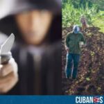 Un custodio muerto y otro gravemente herido fue el lamentable saldo que dejó un violento robo ocurrido en la Unidad Básica de Producción Cooperativa (UBPC) Fidel Domenech Rizo, ubicada en Pueblo Nuevo, municipio Contramaestre, en la provincia Santiago de Cuba.