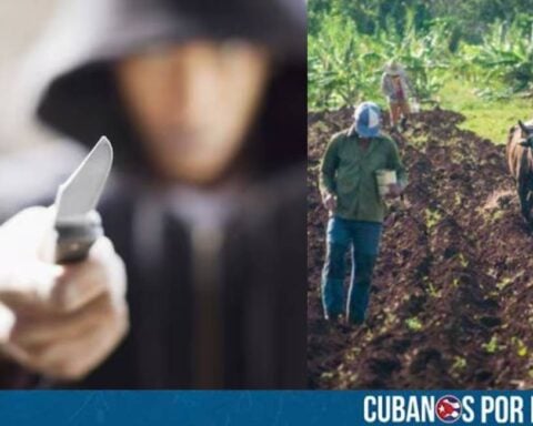 Un custodio muerto y otro gravemente herido fue el lamentable saldo que dejó un violento robo ocurrido en la Unidad Básica de Producción Cooperativa (UBPC) Fidel Domenech Rizo, ubicada en Pueblo Nuevo, municipio Contramaestre, en la provincia Santiago de Cuba.