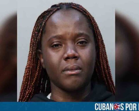 Arrestan a mujer en el aeropuerto de Miami tras arrebatar un niño a una madre
