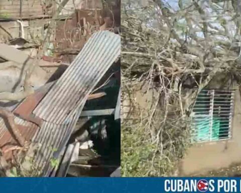 Árbol cayó sobre una vivienda en Santiago de Cuba durante el paso del huracán Melissa